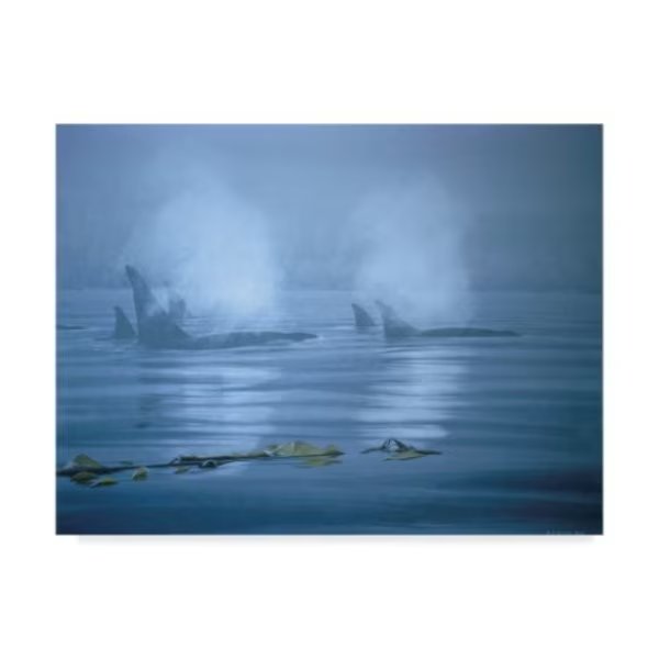 Ron Parker 'Lifting Fog' Canvas Art, 14x19, Trademark Fine Art, Mfr#: ALI32497-C1419GG